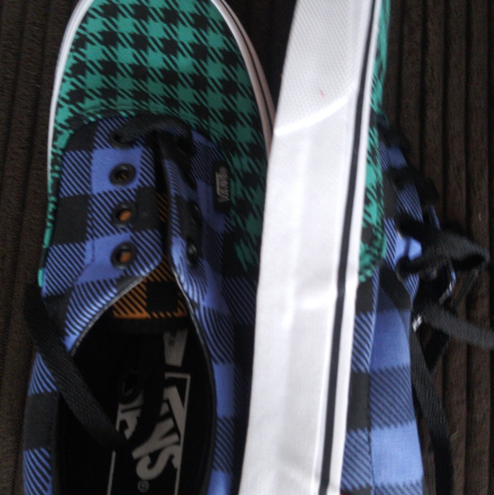 Vans shoes